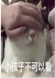 Ȧ��Ǿޱ�����ٹǿ�np��