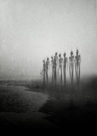 ��䣨�ƻ� �ֲ� ����NP��