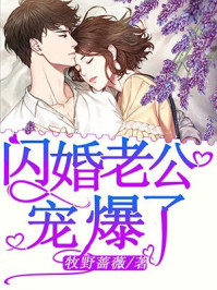 �����Ϲ��豬��