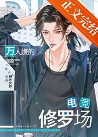 �����ӵĵ羺���޳�