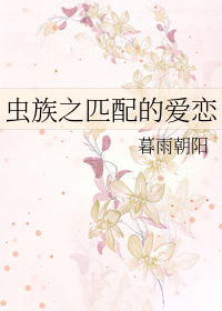 ����֮ƥ��İ���