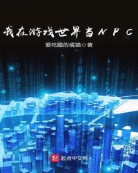 ������Ϸ���統NPC