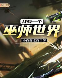 ����һ����ʦ����