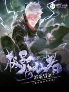 ���м�Ʒ������