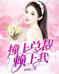 ײ���ܲ�������