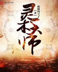 ������ʦ