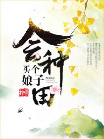 ������ӻ�����