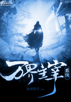 �������ϵͳ