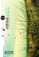 ʮ����ȴ�����