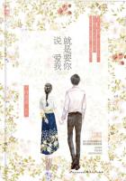 ����Ҫ��˵����