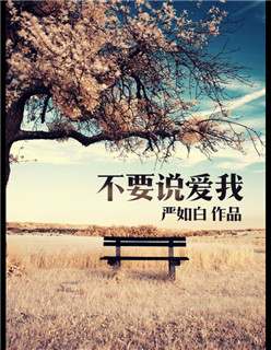 ��Ҫ˵����