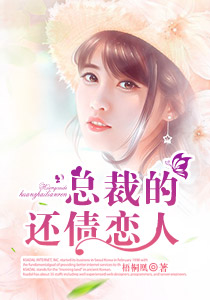 �ܲõĻ�ծ����