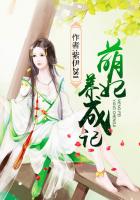 �������ɼ�