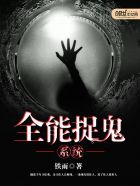 ȫ��׽��ϵͳ