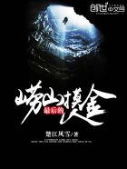 ������ɽ������