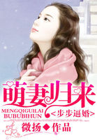 �����ƻ飺���޹���