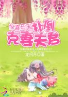 ��ϲ��԰���˵����޷��