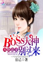���׷�ޣ�BOSS��������