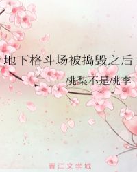 ���¸񶷳�������֮��