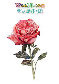 ��ABO���޴�����