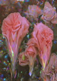 ǿ���뷴��